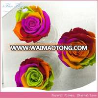 Low price nice looking preserved rose flower wedding decoration