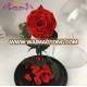 Real touch preserved flower everlasting rose in glass for Valentine's day